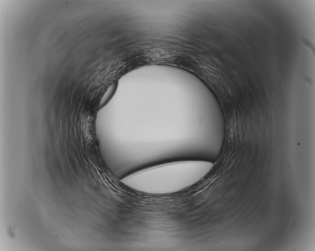 X0000103141346200808221055