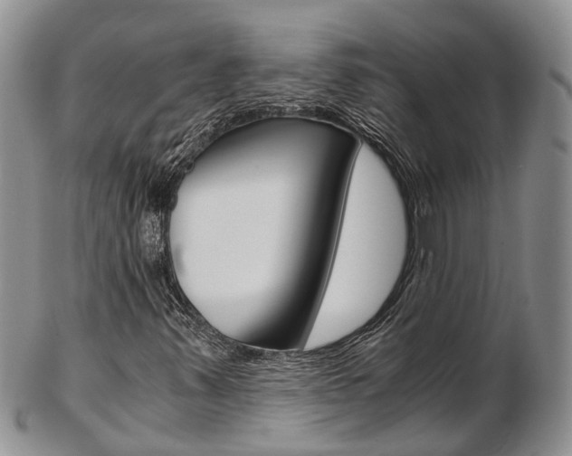 X0000103141347200808221055