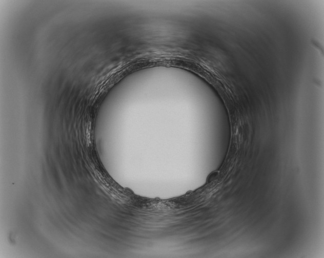X0000103141348200808221055