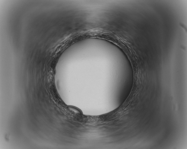 X0000103141349200808221055