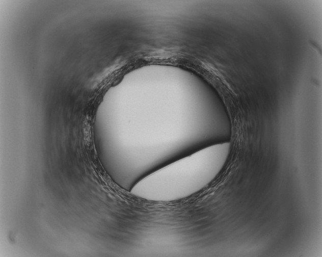 X0000103141350200808221055