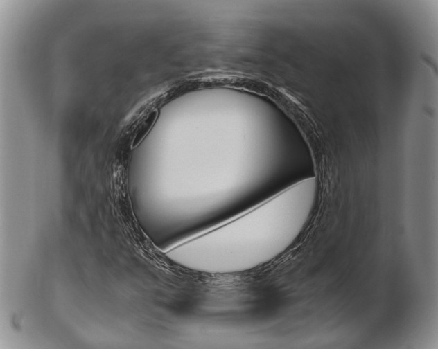X0000103141351200808221055