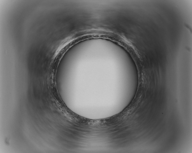 X0000103141352200808221055
