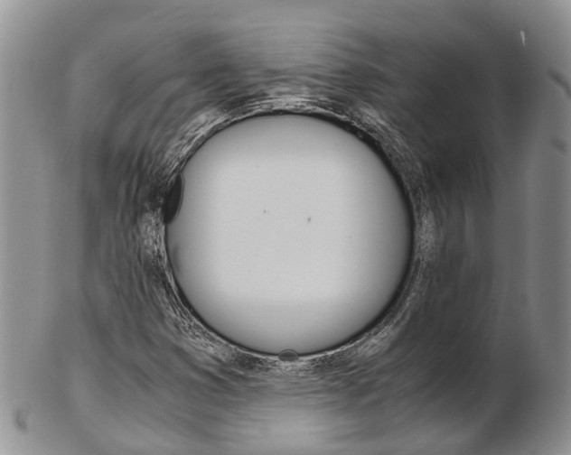 X0000103141353200808221055