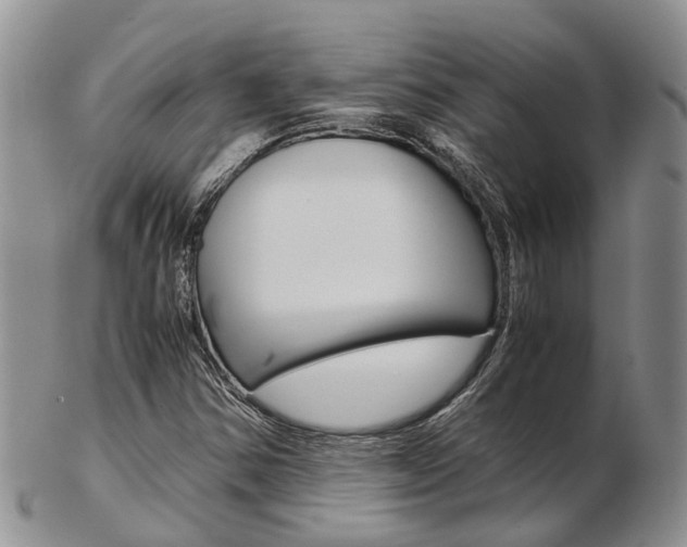 X0000103141354200808221055