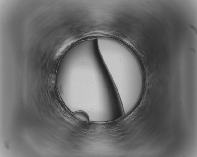 X0000103141355200808221055
