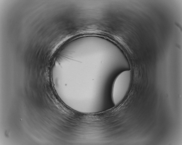 X0000103141356200808221055