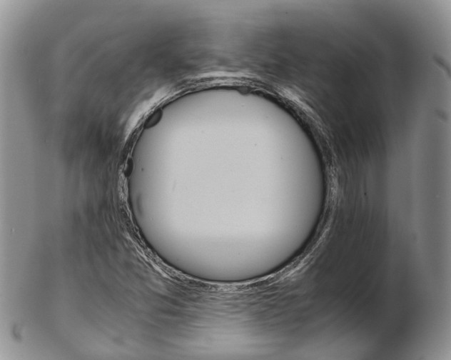 X0000103141357200808221055