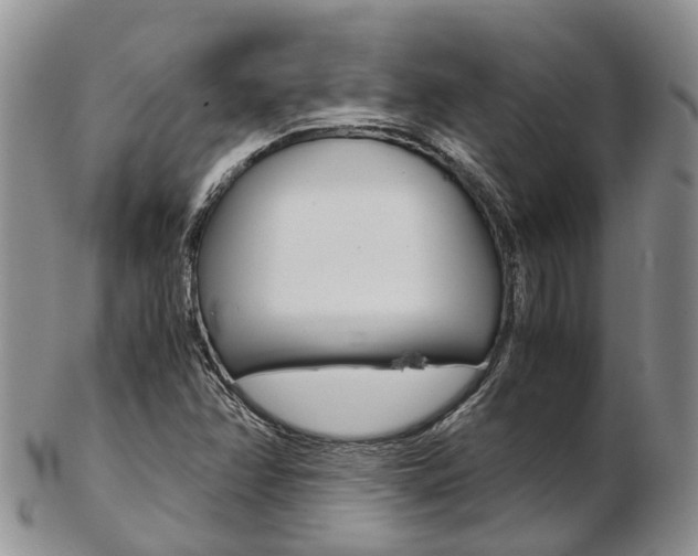 X0000103141358200808221055