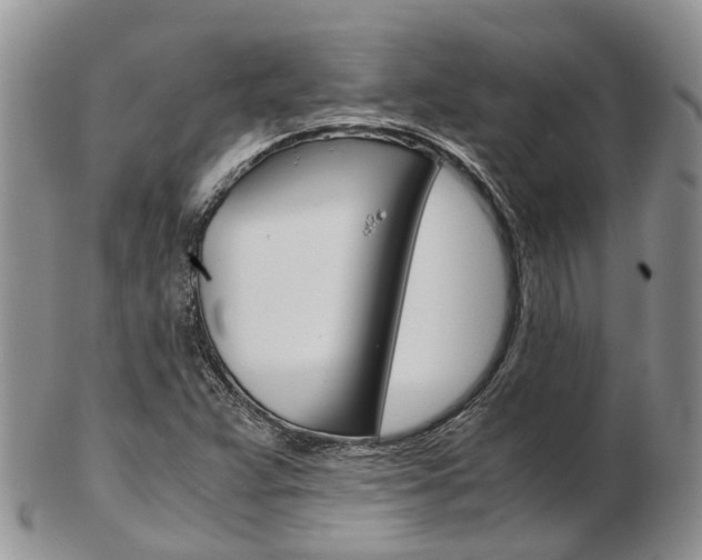 X0000103141359200808221055