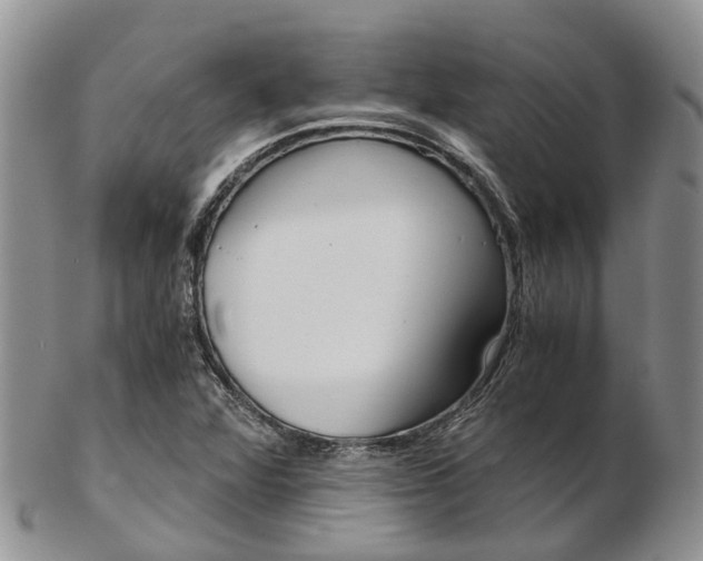 X0000103141360200808221055