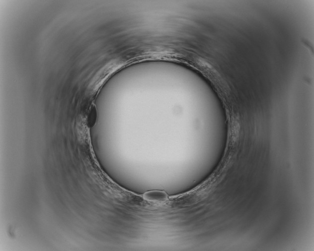 X0000103141361200808221055