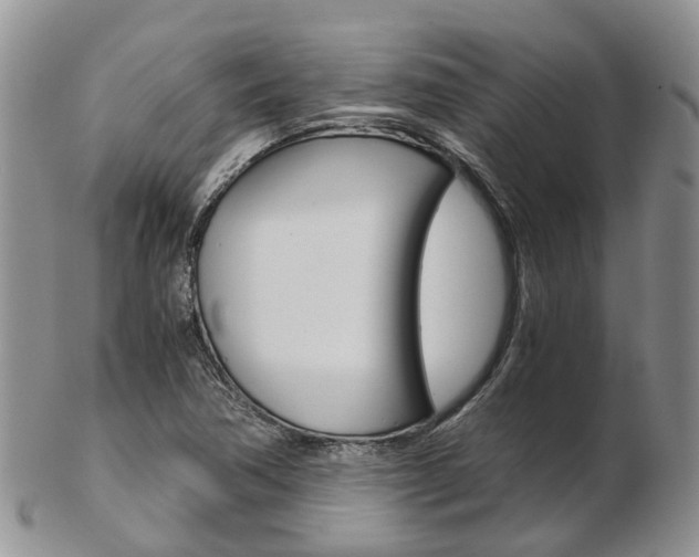 X0000103141362200808221055