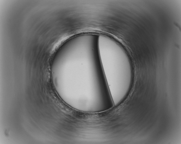 X0000103141363200808221055
