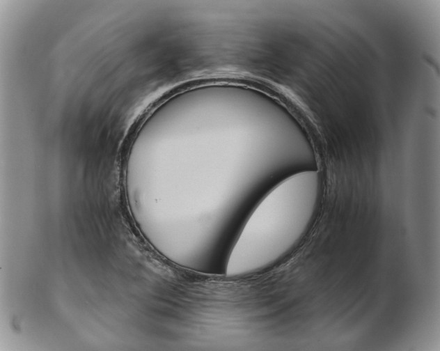 X0000103141364200808221055