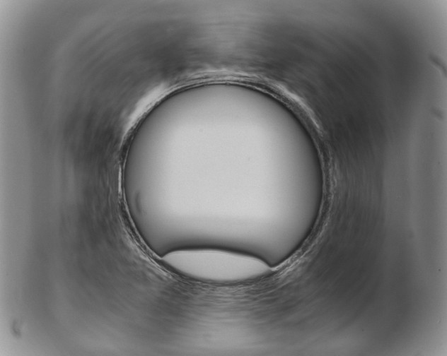X0000103141365200808221055