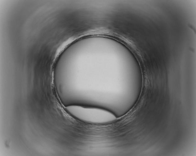 X0000103141366200808221055