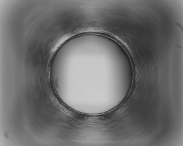 X0000103141367200808221055