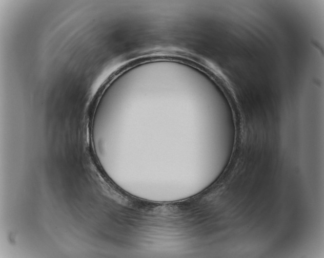 X0000103141368200808221055