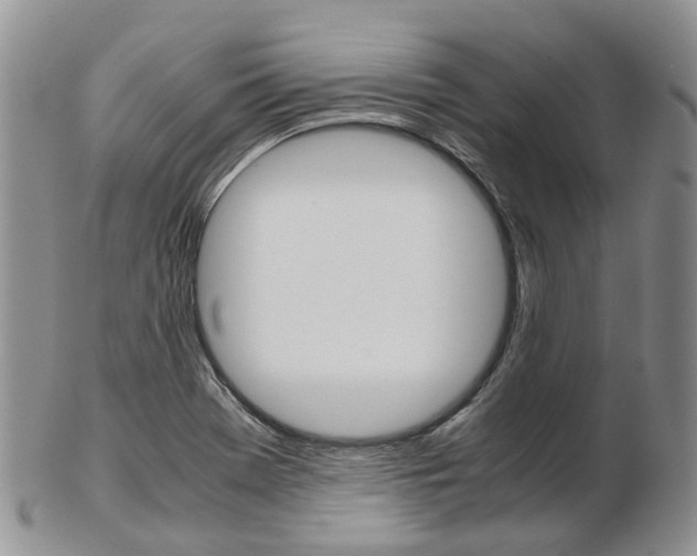 X0000103141369200808221055