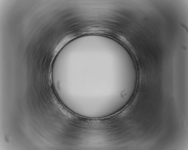 X0000103141370200808221055