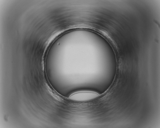 X0000103141372200808221055