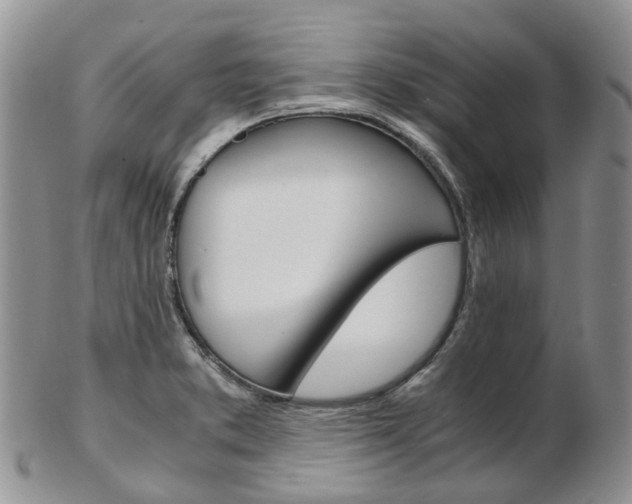 X0000103141373200808221055