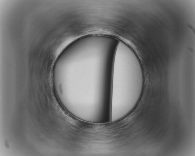 X0000103141375200808221055
