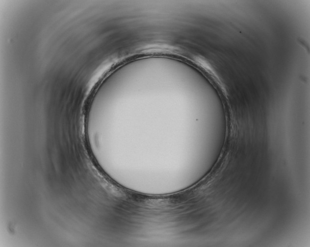 X0000103141376200808221055