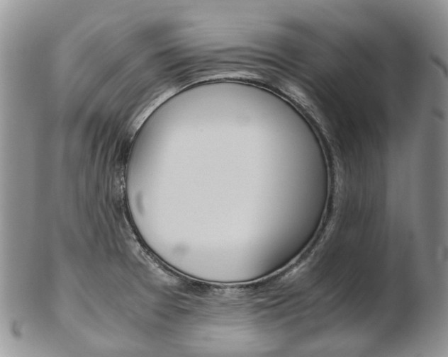 X0000103141377200808221054