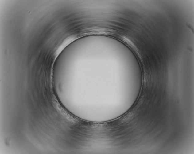 X0000103141378200808221054