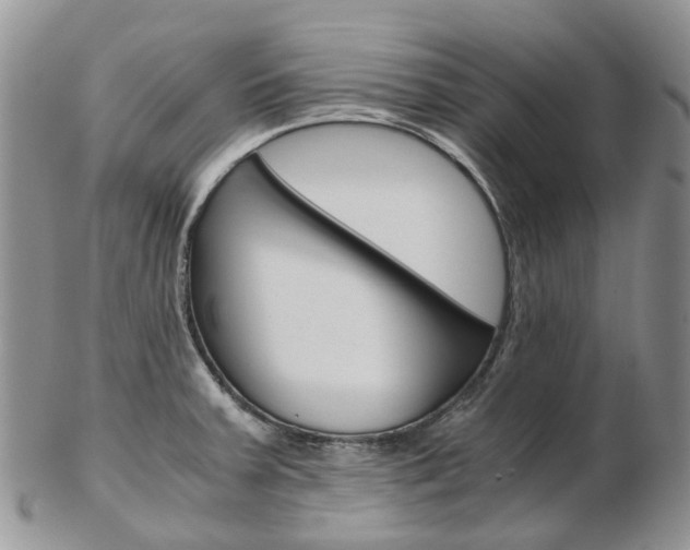 X0000103141379200808221054