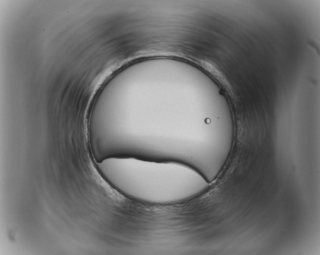 X0000103141380200808221054