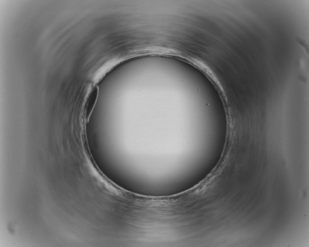 X0000103141381200808221054