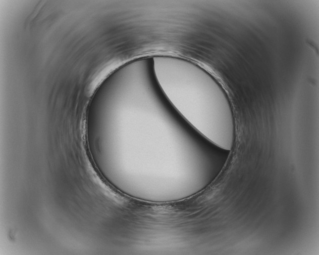 X0000103141383200808221054