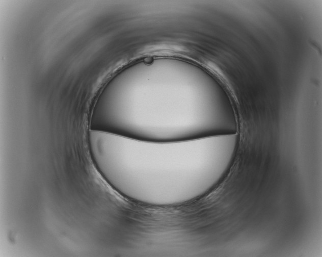X0000103141384200808221054