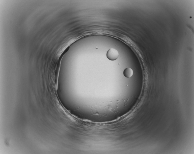 X0000103141385200808221054