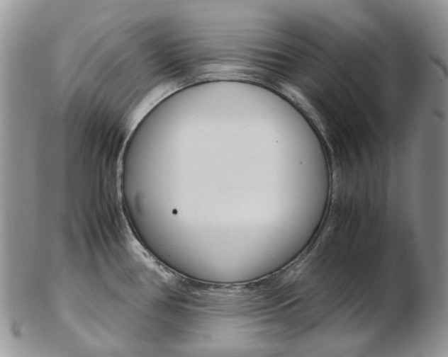 X0000103141386200808221054
