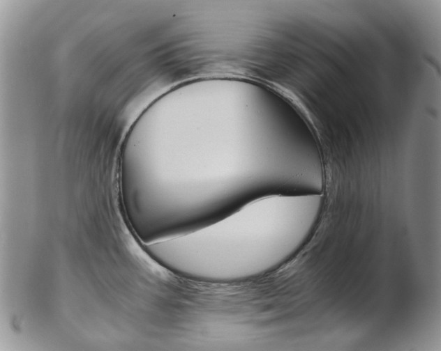 X0000103141387200808221054