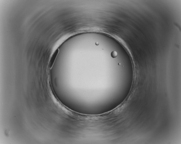 X0000103141389200808221054