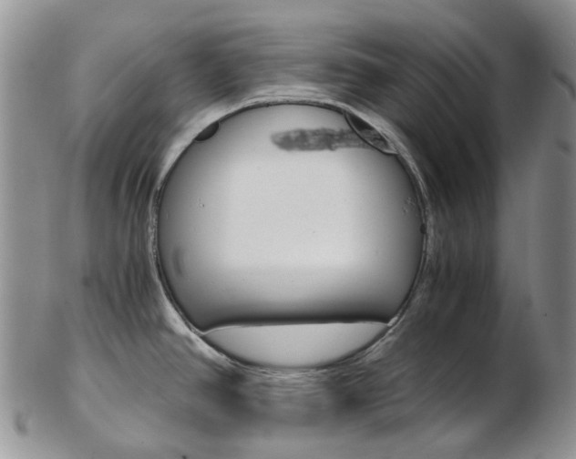 X0000103141390200808221054