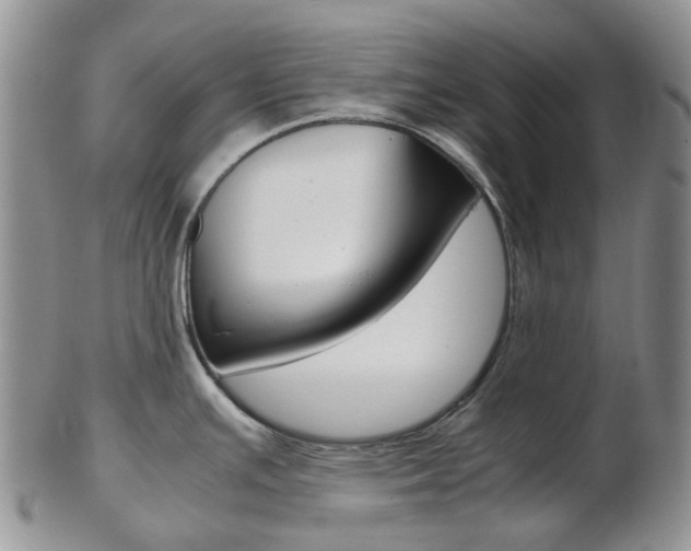 X0000103141391200808221054