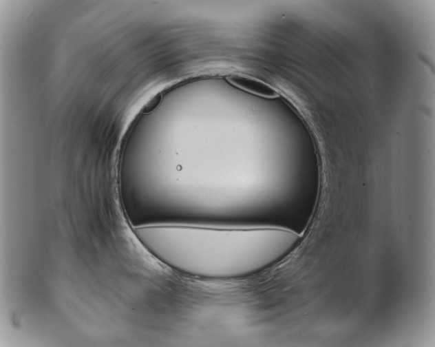 X0000103141392200808221054