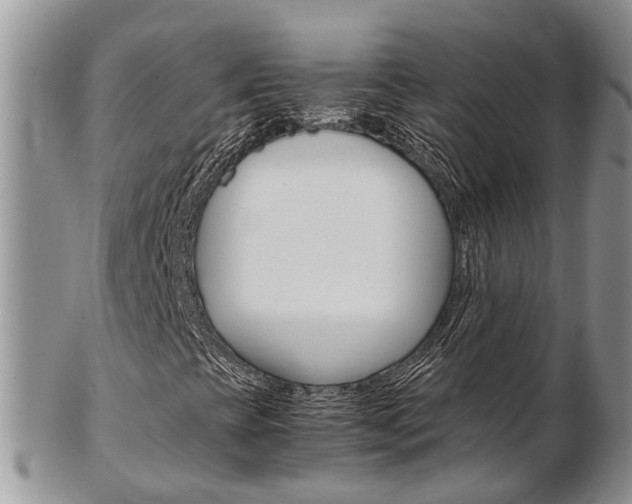 X0000103141393200808221053