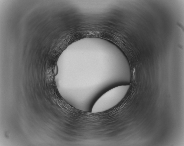 X0000103141395200808221053