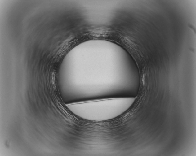 X0000103141396200808221053