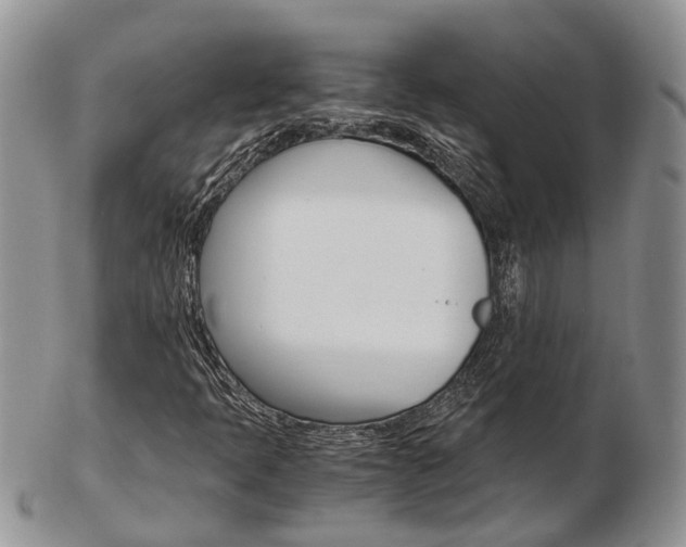 X0000103141397200808221054
