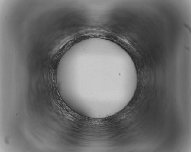 X0000103141399200808221054