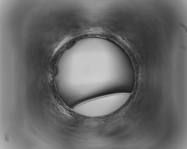 X0000103141400200808221054
