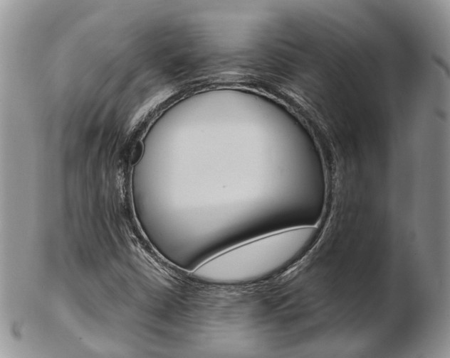 X0000103141402200808221054